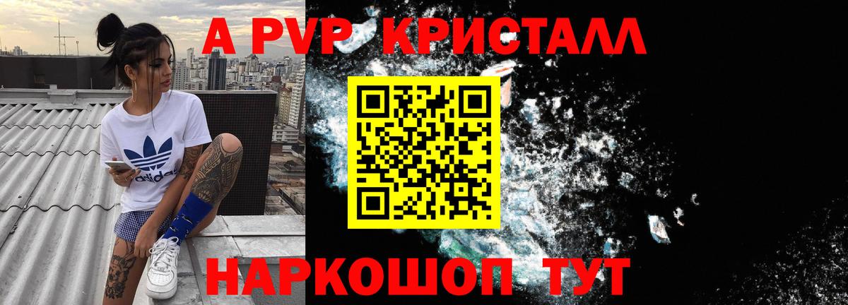 A PVP VHQ Аша