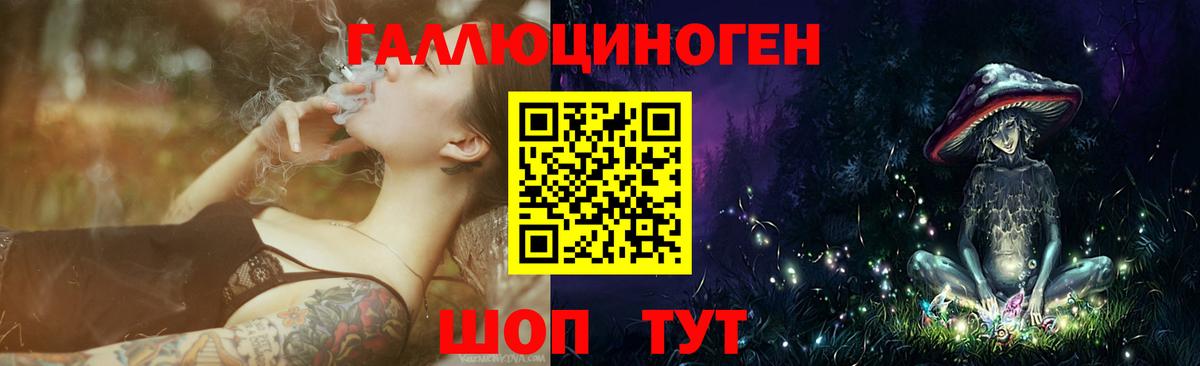 Псилоцибиновые грибы Psilocybe  Вход с VPN  Аша  Галлюциногенные грибы Psilocybe 